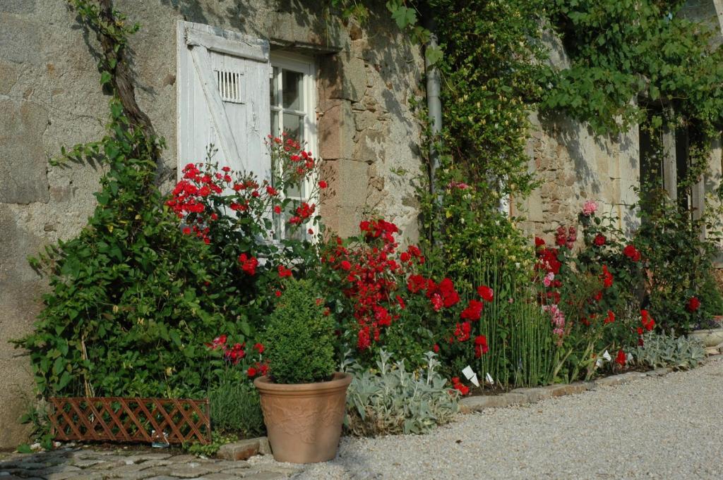 مبيت وإفطار Gorges  Chateau De L'Oiseliniere المظهر الخارجي الصورة