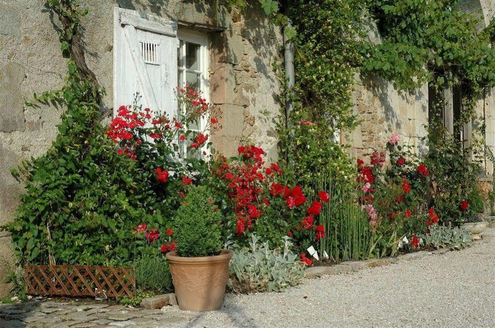مبيت وإفطار Gorges  Chateau De L'Oiseliniere المظهر الخارجي الصورة