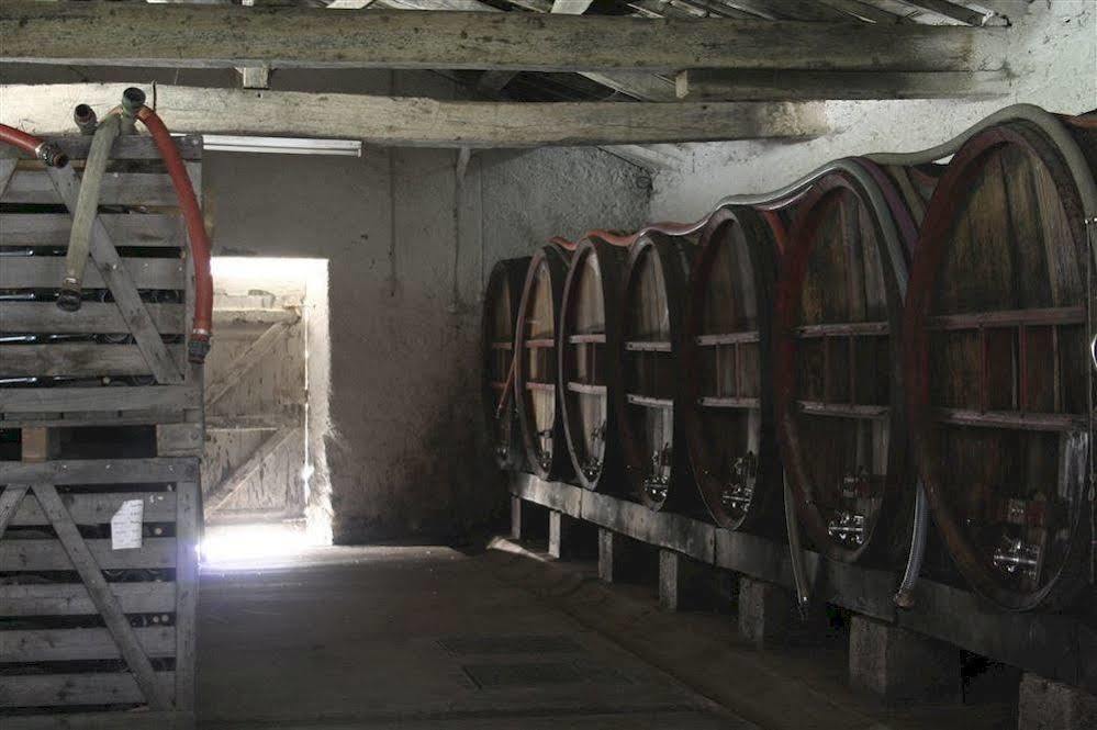 مبيت وإفطار Gorges  Chateau De L'Oiseliniere المظهر الخارجي الصورة